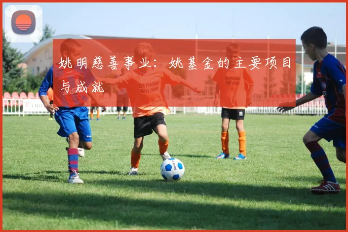 姚明慈善事业:姚基金的主要项目与成就