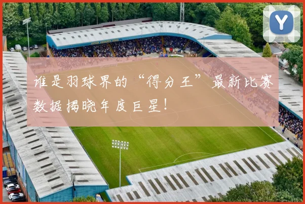 谁是羽球界的“得分王”最新比赛数据揭晓年度巨星!