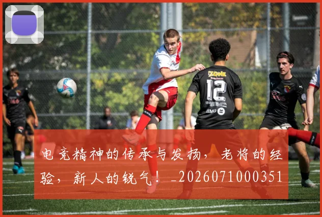 电竞精神的传承与发扬,老将的经验,新人的锐气!_20260710003510