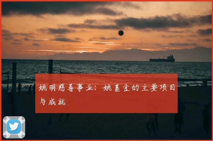 姚明慈善事业:姚基金的主要项目与成就