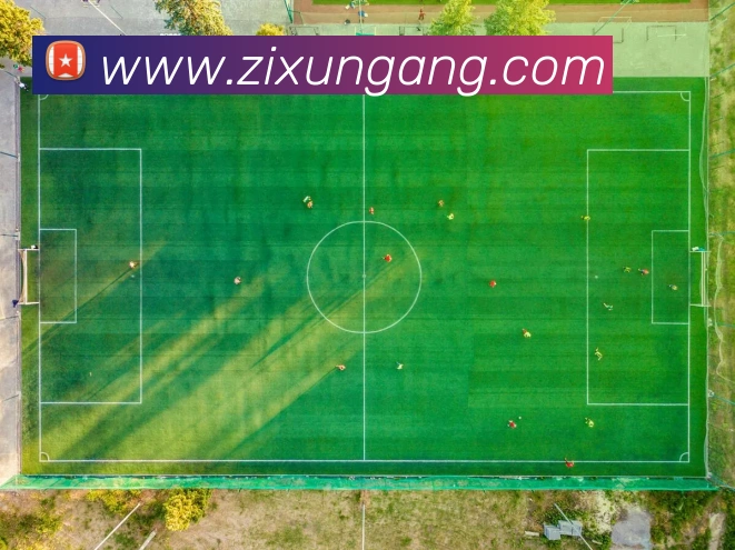 爱游戏体育服务体系